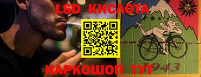 прущие грибы Новодвинск